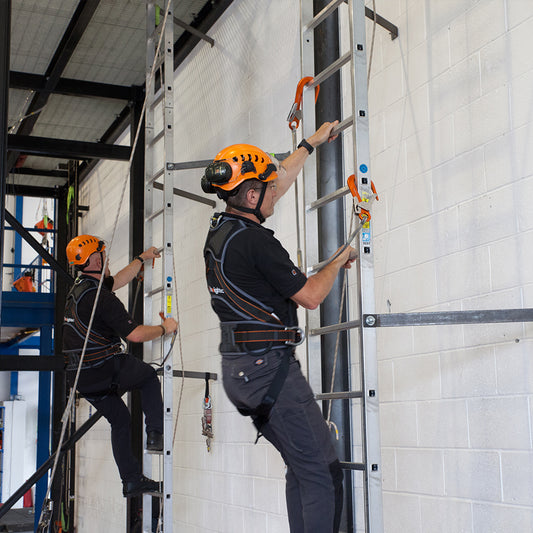WORKING AT HEIGHTS (INCLUDING HARNESS, LANYARDS AND LADDERS)